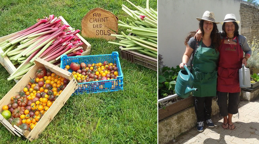 Ces femmes ont tout quitté pour lancer leur micro-ferme en Normandie Ces femmes ont tout quitté pour lancer leur micro-ferme en Normandie